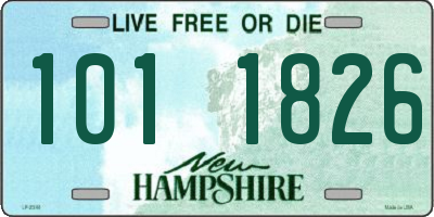 NH license plate 1011826