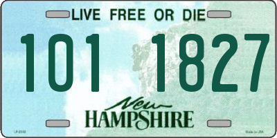 NH license plate 1011827