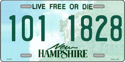 NH license plate 1011828