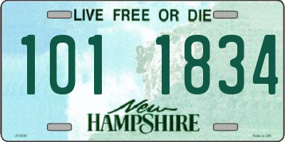 NH license plate 1011834