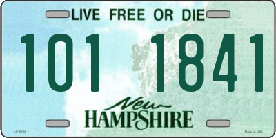 NH license plate 1011841