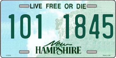 NH license plate 1011845