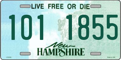 NH license plate 1011855