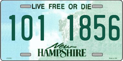 NH license plate 1011856