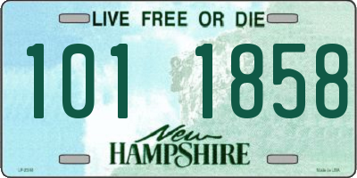 NH license plate 1011858