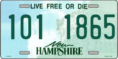 NH license plate 1011865