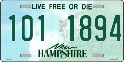 NH license plate 1011894