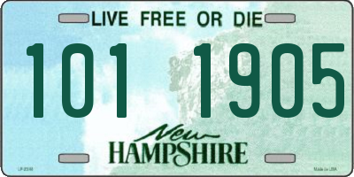 NH license plate 1011905