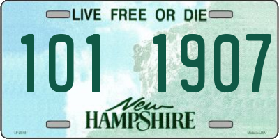 NH license plate 1011907