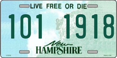 NH license plate 1011918