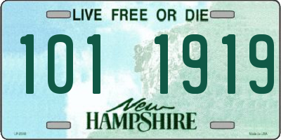 NH license plate 1011919