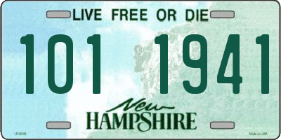 NH license plate 1011941