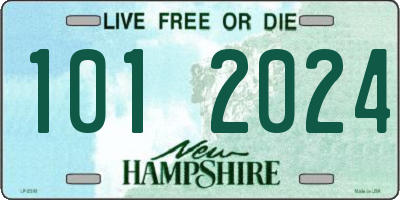 NH license plate 1012024