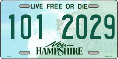 NH license plate 1012029