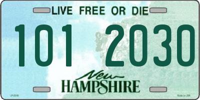 NH license plate 1012030