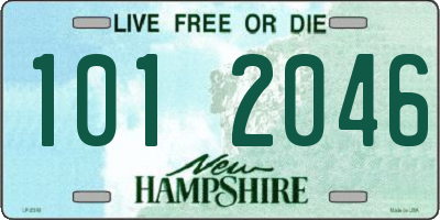 NH license plate 1012046