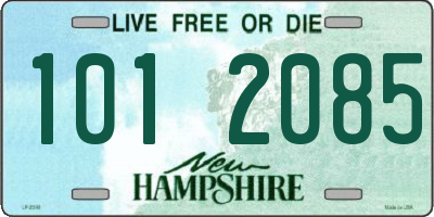 NH license plate 1012085