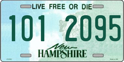 NH license plate 1012095