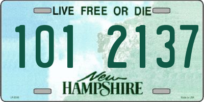 NH license plate 1012137