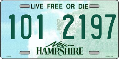 NH license plate 1012197