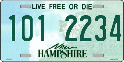 NH license plate 1012234