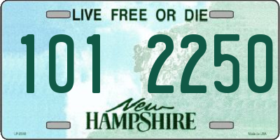 NH license plate 1012250