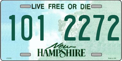 NH license plate 1012272