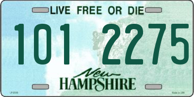 NH license plate 1012275