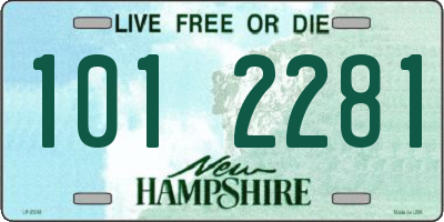 NH license plate 1012281