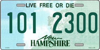 NH license plate 1012300