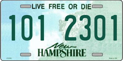 NH license plate 1012301