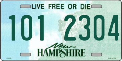 NH license plate 1012304