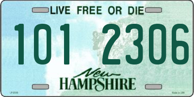 NH license plate 1012306