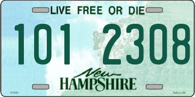 NH license plate 1012308