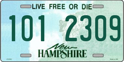 NH license plate 1012309
