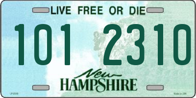 NH license plate 1012310