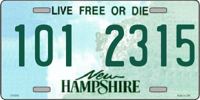 NH license plate 1012315