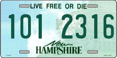 NH license plate 1012316