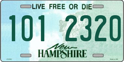 NH license plate 1012320