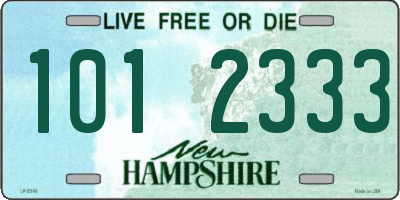 NH license plate 1012333