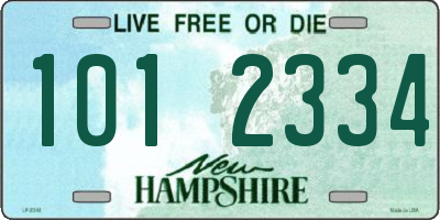 NH license plate 1012334