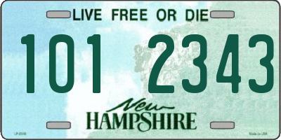 NH license plate 1012343