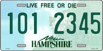 NH license plate 1012345