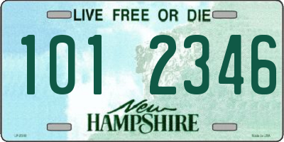 NH license plate 1012346