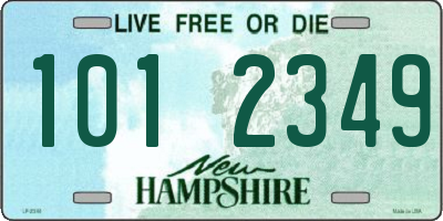 NH license plate 1012349