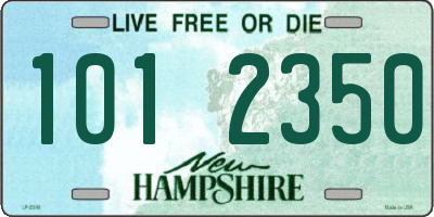 NH license plate 1012350