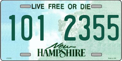 NH license plate 1012355