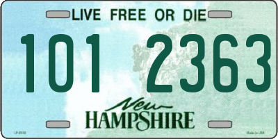 NH license plate 1012363