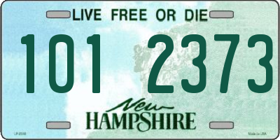 NH license plate 1012373