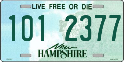 NH license plate 1012377